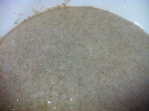 Sourdough Starter Mix - Day 3