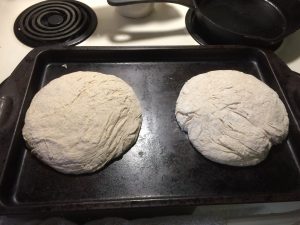 Raw sourdough loaves, ready for second rise