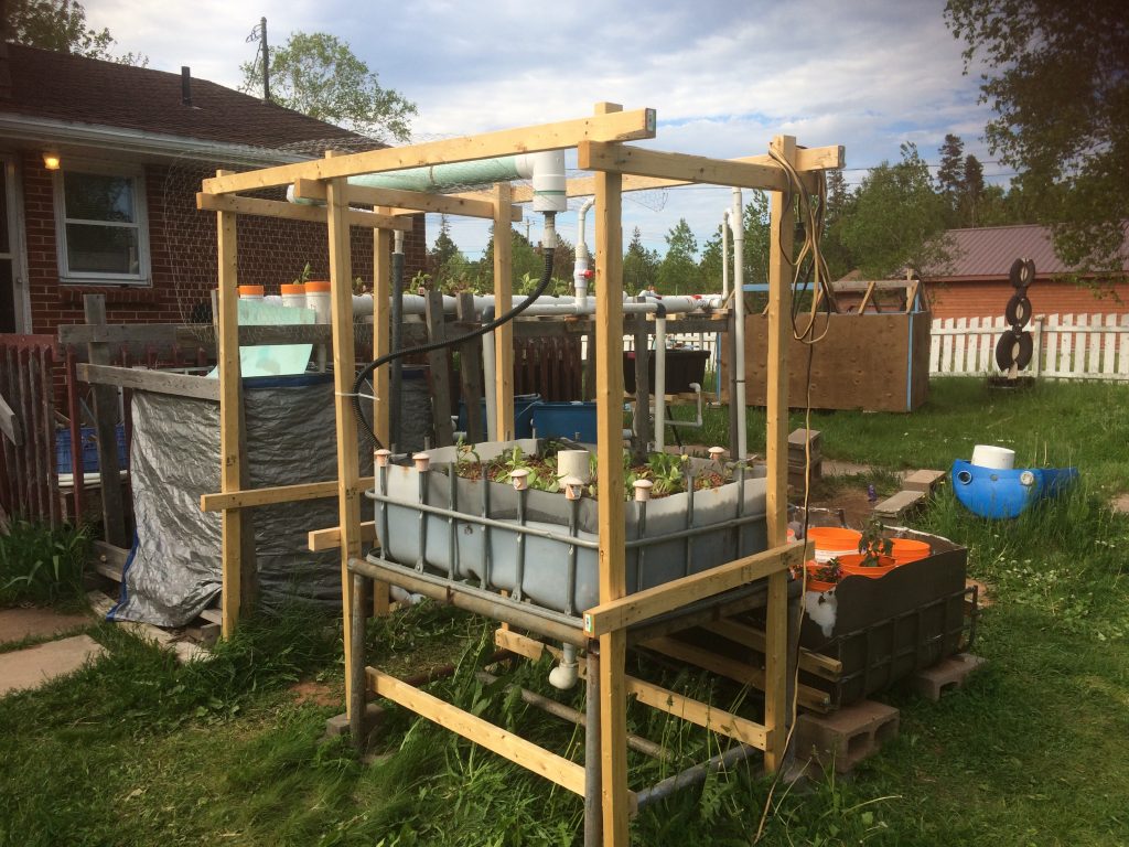 Wide shot; trellis with flood-and-drain media bed.